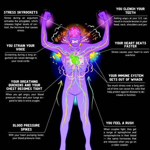 your-body-when-you-re-angry-infographic-m2woman