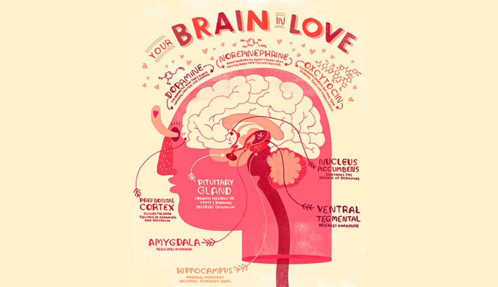 book love on the brain