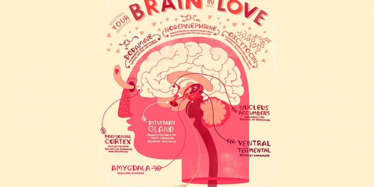 brain in love