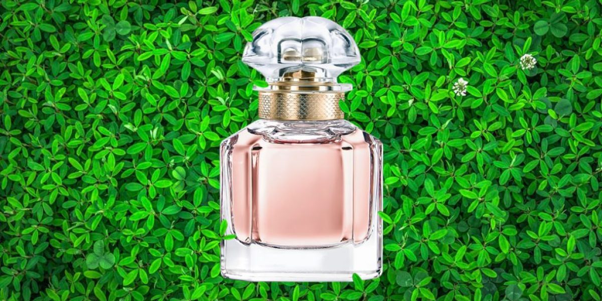 Greenwashed-greenwashing-makeup-beauty-perfume