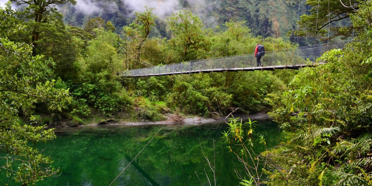 milford-track-great-walk